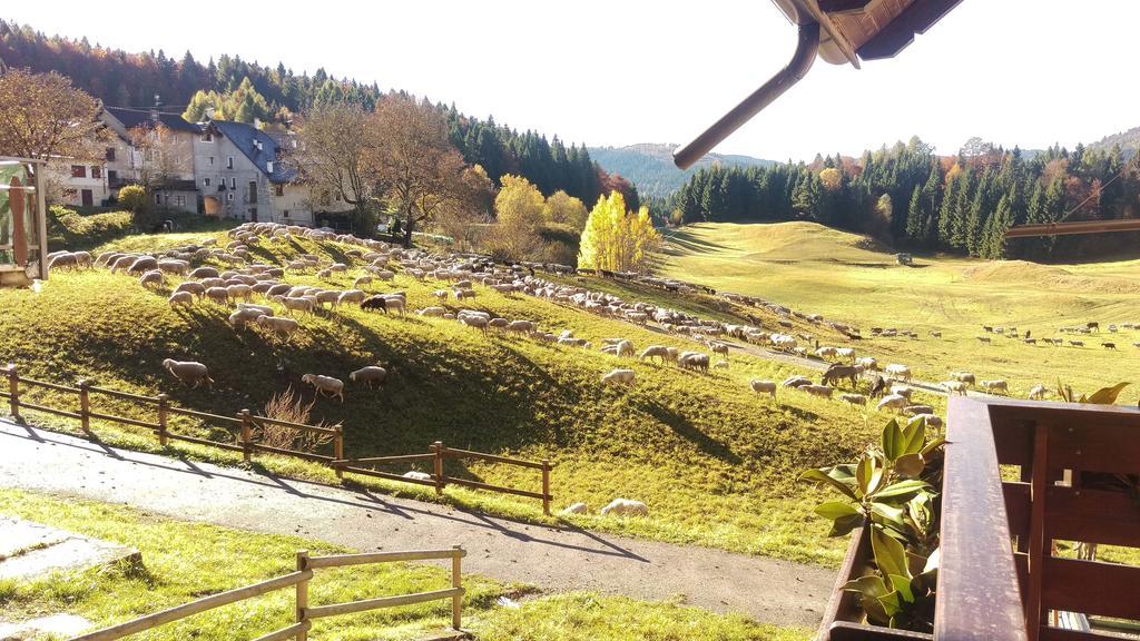 Casa Camilla Holiday Folgaria Kültér fotó