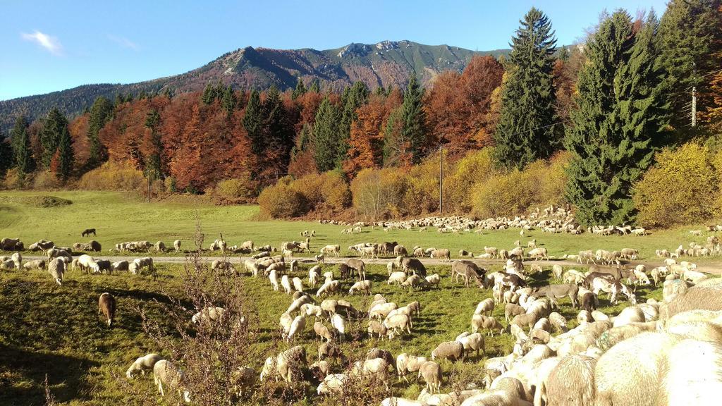 Casa Camilla Holiday Folgaria Kültér fotó