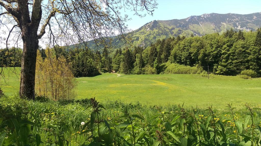Casa Camilla Holiday Folgaria Kültér fotó