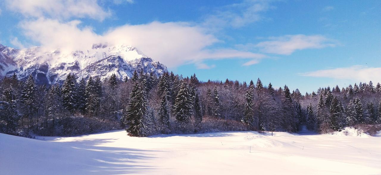 Casa Camilla Holiday Folgaria Kültér fotó